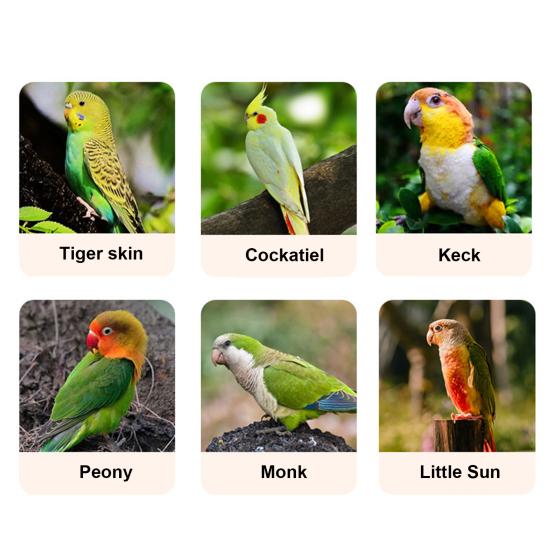 Ванночка для попугая с помпой Автоматическая циркуляция воды Душ-фонтан для птиц Питание от USB Ванночка для купания попугая кореллы, неразлучника, конура, волнистого попугая