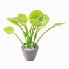 1Pcs 1/12 Miniature Plant Potted Model Garden Green Plant Ornaments Dollhouse Simulation Plant Decoration Toy