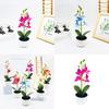 Simulated Phalaenopsis Potted Artificial Artificial Flower For Photography And Home Enhancement