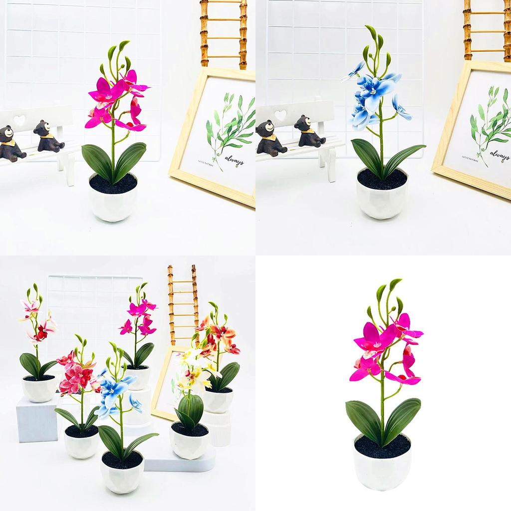 Simulated Phalaenopsis Potted Artificial Artificial Flower For Photography And Home Enhancement