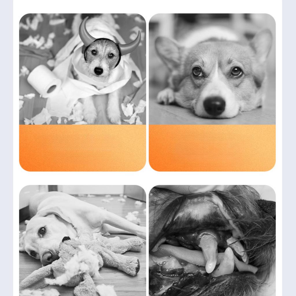 Dog Molar Toy Food Grade Silicone BPA Cute Little Monster Dog Tooth Cleaning Interactive Bite Resistant Sound Toy Pet Supplies