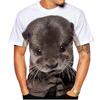 Cute Otter Graphics T Shirts Summer Fashion Short Sleeve Funny 3D Animals Printed Men Women T-shirts Casual Loose Harajuku Tees