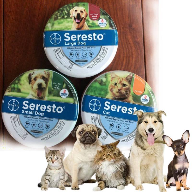 Ошейник для защиты от блох и клещей для собак и кошек - 8 месяцев защиты, без запаха и нежирный