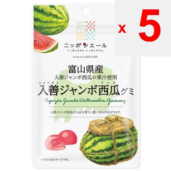 JA Nippon Ale Toyama Irizen Jumbo Watermelon Gummies 40 гБренд Nippon Ale с крылатой фразой Бренд Nippo Nippon Ale с крылатой фразой Родившийся в Японии,