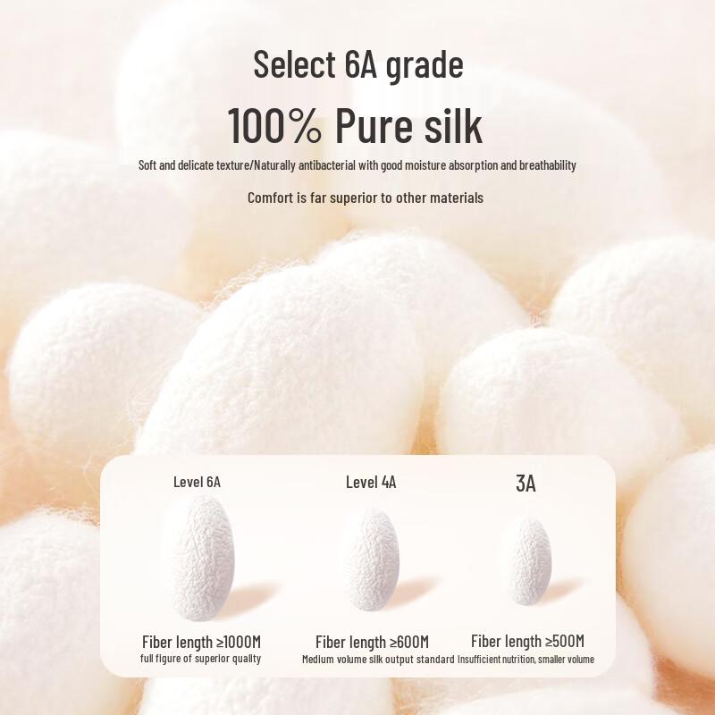 Tiancan Women's 100% Mulberry Silk High-Waist Seamless Briefs (2-Pack)