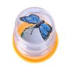Development Toy Kids Gift Insect Box Magnifier Insect Observer Kit Bug Viewer Insect Catcher Cage