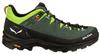 Обувь для треккинга MS Alp Trainer 2 (61402)