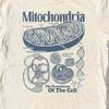 Ретро Футболка с принтом "Митохондрии" Science Comfort Colors - Винтажная Биологическая Футболка - Графическая Футболка для Студента STEM