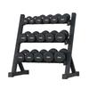 Large Skua Pure Steel Fixed Dumbbell Set with A-Frame Rack
