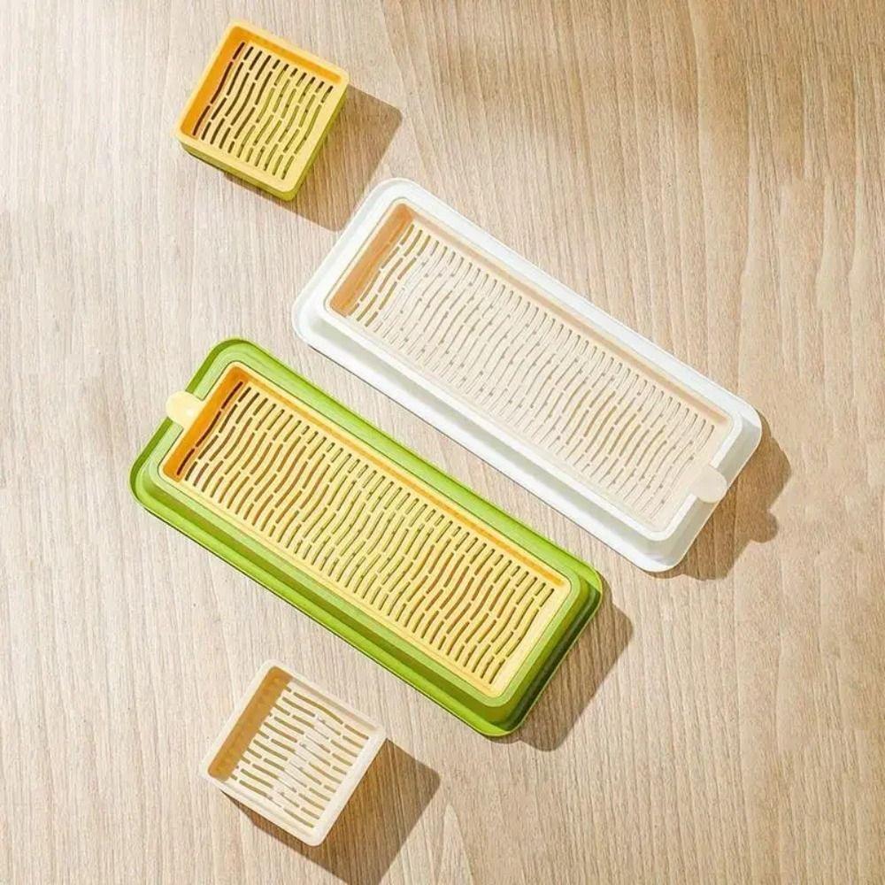 4 Styles Catgrass Planting Bowls Hydroponic Nursery Tray Cat Grass Growing Kit  Veterinary