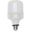 SAFETY SH40-TL-TR E39 LED Temporary Lighting Bulb, Ballastless Mercury Lamp Equivalent To 500W, Outdoor Use