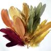 Autumn Colored Goose Feathers 15g