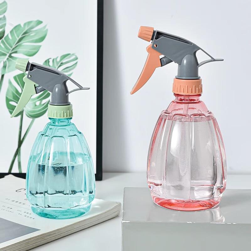 Handheld Spray Bottle