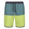 Regatta Mens Benicio Swim Shorts