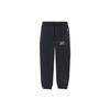 Li Ning X Artist DFT Wade Series Fun Fleece Warm Cuffed Sports Pants Men Pants Black AKLRE61-1