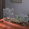Acrylic Transparent Reptile Habitat Box Tarantulas Geckos Lizards Frogs Insects Terrarium Display Cage