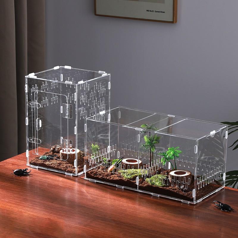 Acrylic Transparent Reptile Habitat Box Tarantulas Geckos Lizards Frogs Insects Terrarium Display Cage