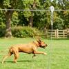 Anti Rust Outdoor Dog Tie Out Cable 15/30M Dog Tie Out Trolley Wire Rope  Outdoor Yard