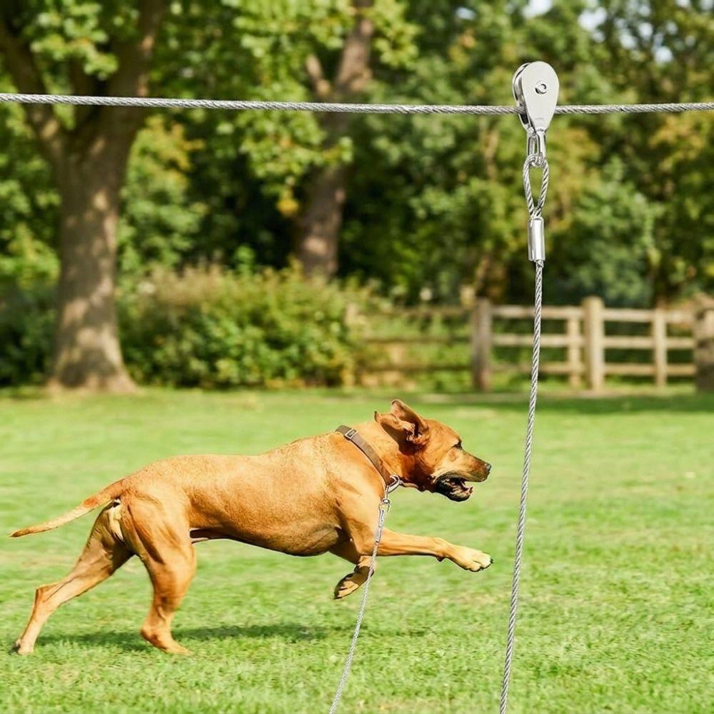 Anti Rust Outdoor Dog Tie Out Cable 15/30M Dog Tie Out Trolley Wire Rope  Outdoor Yard