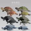 Simulation Animal Model Toy Turtle Doll Ornament Collection Static Animal Boutique Gift Gift