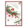 Simon Elvin A Christmas Message Especially For You Robin Greetings Card (Pack of 6)
