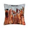 Cartoon Marcus The Worm Pillow Cover  Novelty Pillow Case For Couch Sofa Bedroom Comfy Cushion Cover Birthday Gift