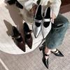 Fashion Metal One-strap Thick-heeled Shoes Autumn New Style Pointed Shallow Mouth Non-slip Wear-resistant Mid-heel Shoes