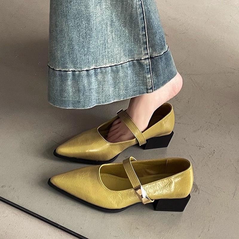 Shallow mouth word with pointed thick heel high heels spring and summer French medium heel Mary Jane shoes commuter women's shoes