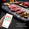 Wifi Пищевой Термометр Керамический Зонд Кухонный Духовой Мясной Термометр IP67 Водонепроницаемый Цифровой Дисплей Беспроводной Bluetooth Барбекю
