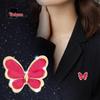 Милая многоцветная брошь-бабочка - Универсальный аксессуар для девочек
