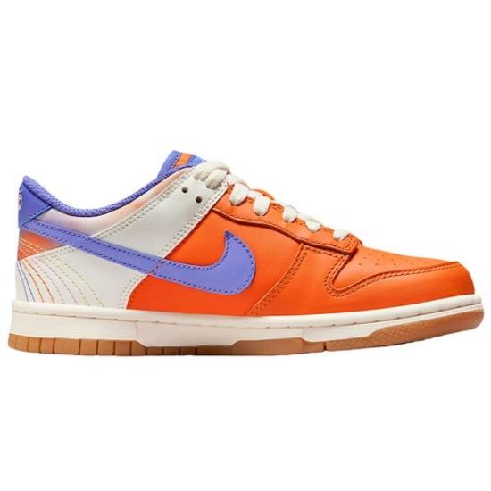 Nike Dunk Low Всё, что нужно - FN0600-801