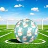 1pc Winter Bunny Scarf Theme Soccer Ball Football, Size 5, Lightweight PVC, Outdoor Training Soccer Ball,Gift c6511