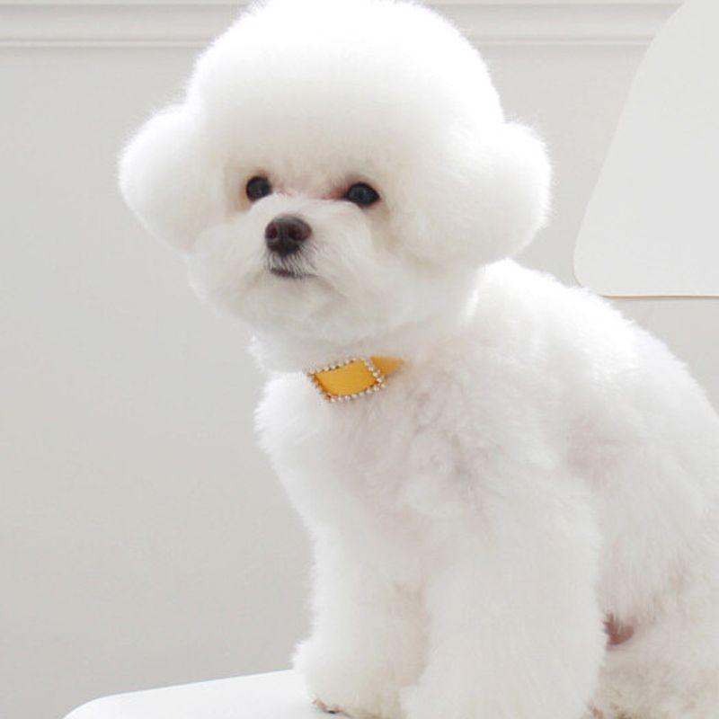 MAISON DE MIU Квадратное жемчужное колье_Желтый