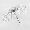 Lilang 16-Rib Straight Transparent Umbrella