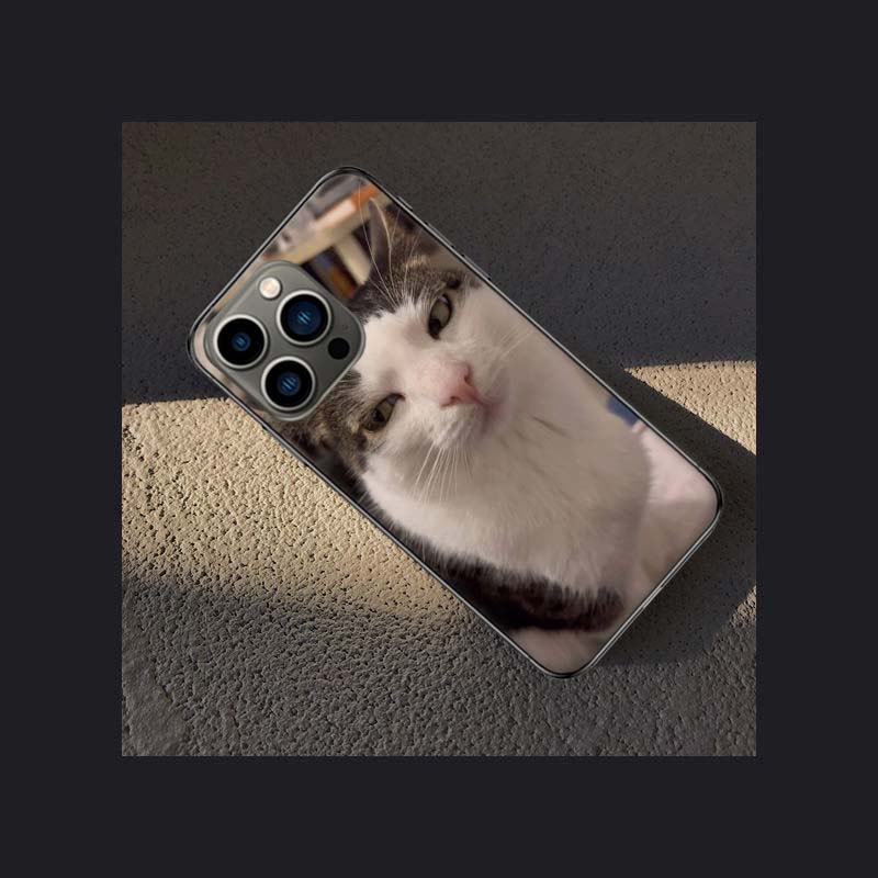 Забавный чехол для телефона с мемами про кошек Для Apple Iphone 16E 16 Pro Max 15 Plus Мягкий 13 12 Mini Чехол 11 14 Pro Max Capa 8 7 SE Оболочка Coq