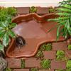 Anti-slip Reptile Water Bowl With Ramp Tortoise Water Dish Turtle Feeding Dish  Turtle