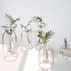 Ваза для цветов Nordic Golden Glass Vase Iron Hydroponic Plant Holder Настольная кофейня Офис Домашнее украшение Аксессуары Современный