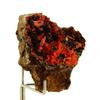 Stones and Minerals. Crocoite.179.5 Ct. Adelaide Mine, Dundas, Tasmania, Australia.