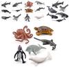 Marine Animal Pvc Model With Realistic Design For Education And Collection