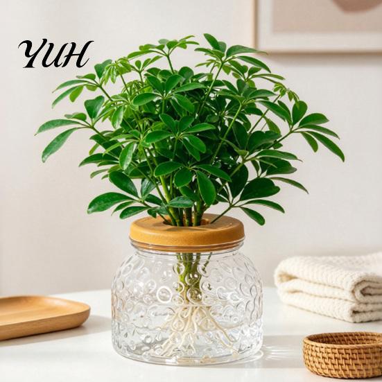 Clear Plastic Planter Hammered Texture Hydroponic Vase, Modern Style Plant Indoor Green Holder Container, Decorative Planting for Home And Office
