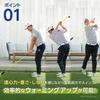 DAIYA GOLF Swing Practice DIA SWING PRO Gear Одобрено Tour Indoor Golf Practice Practice Golf Practice Golf Swing Practice Golf Increased Balance