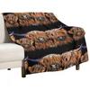 Scottish Highland Cows PRiNT 'The Tangerines 2' by Shirley MacArthur Throw Blanket Decorative Sofa Cute Blankets