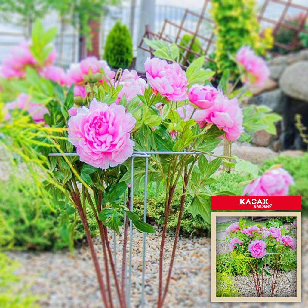 KADAX Flower Support With Eyelet Plant Clip 50 Cm