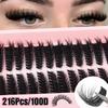 Soft & Natural Segmented False Eyelashes - C Curl, Subtle European/American Style. Choose Your Look for a Big Eye Effect.