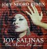 12inch Record JOY SALINAS - The Mystery Of Love (Joey Negro Rem FLYUK16T Flying Records 1991 UK Dance & Electronica Used