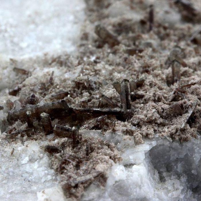 Allanite, Dolomite 363.8 carats