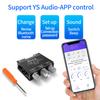 Ys-e100h 2.1-канальный Bluetooth-совместимый 5.1-канальный усилитель мощности звука сабвуфер с высоким низким тоном