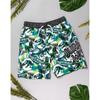 Jurassic World Boys Dinosaur Swim Shorts