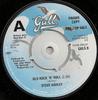 7-дюймовая пластинка STEVE ASHLEY Old Rock N Roll GLUS9PROMO Gull 1974 UK Rock Б/у