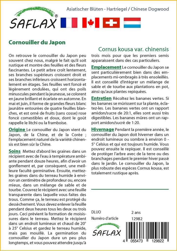 SAFLAX Подарочный набор - Кизил китайский - 30 семян - С подарочной коробкой, карточкой, этикеткой и субстратом для горшков - Cornus kousa